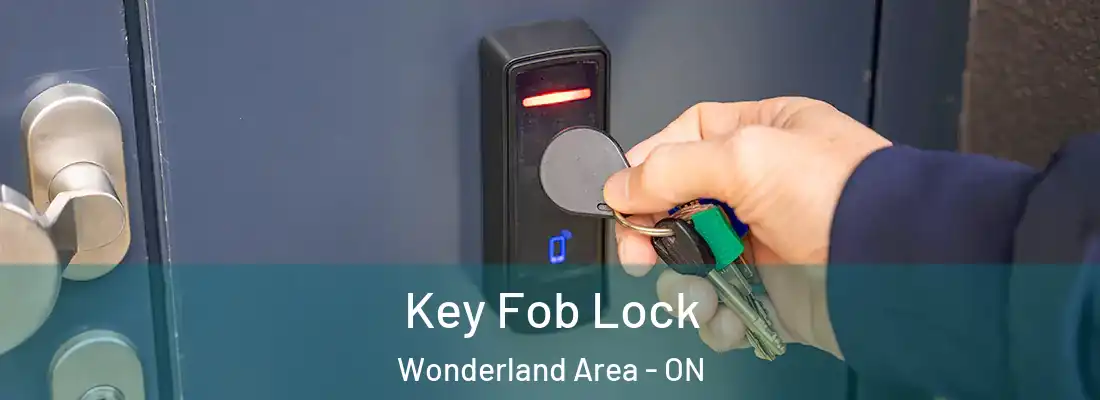  Key Fob Lock Wonderland Area - ON