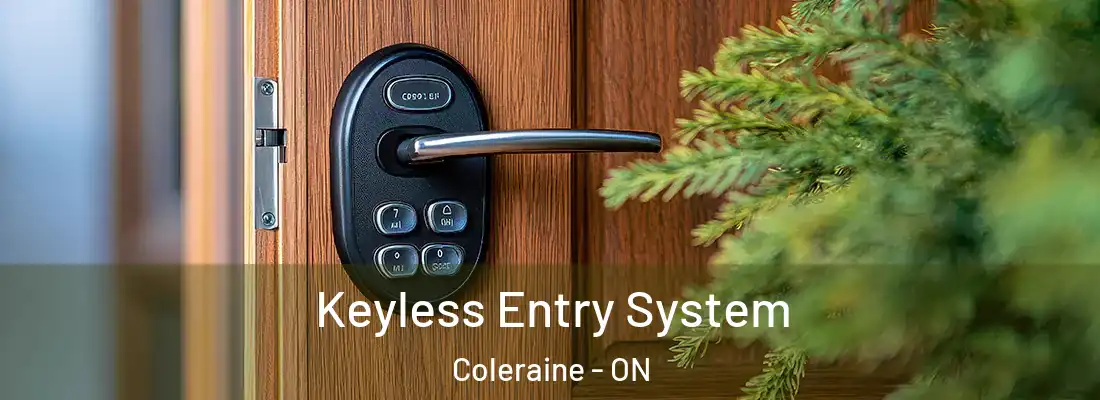  Keyless Entry System Coleraine - ON
