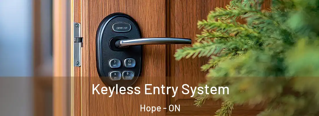  Keyless Entry System Hope - ON