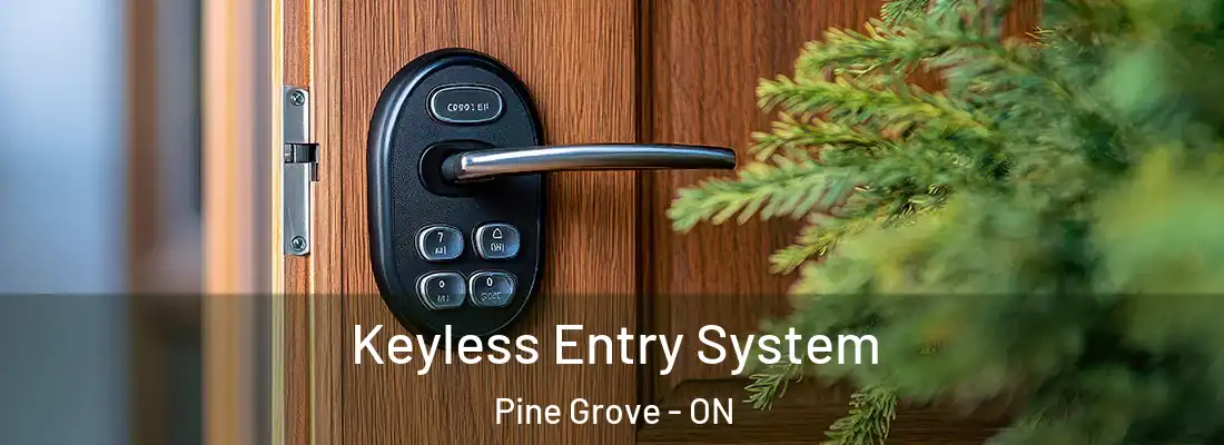  Keyless Entry System Pine Grove - ON