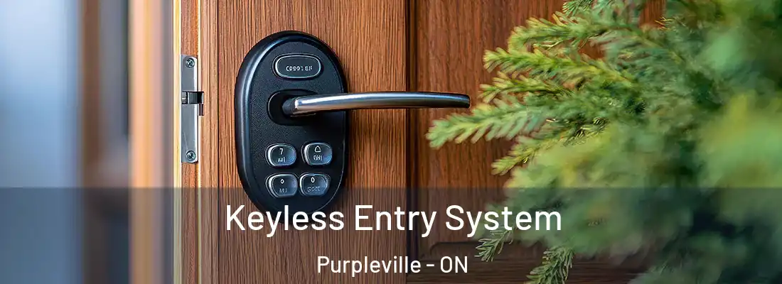  Keyless Entry System Purpleville - ON