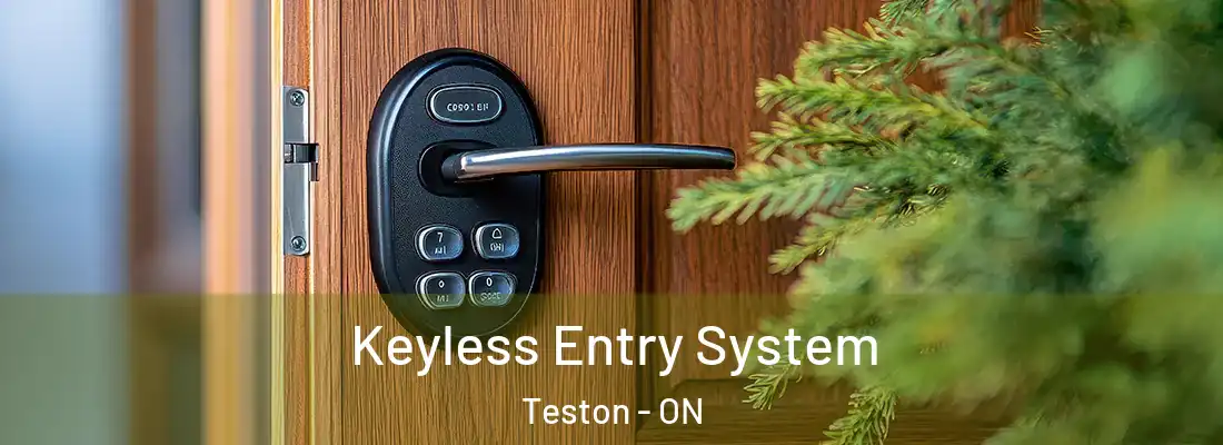  Keyless Entry System Teston - ON