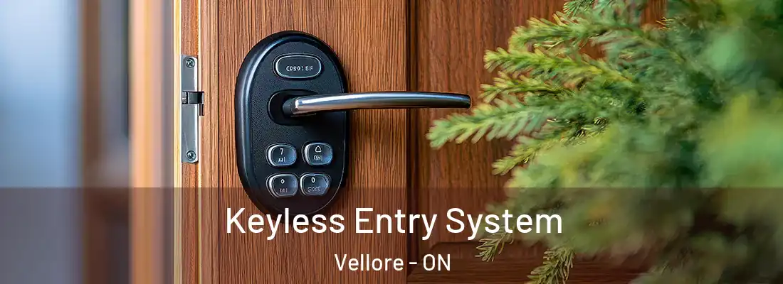 Keyless Entry System Vellore - ON
