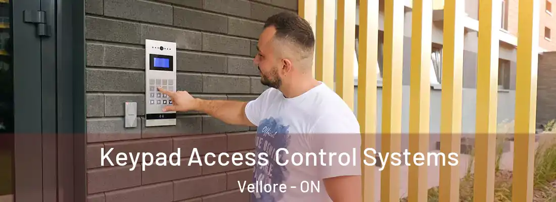 Keypad Access Control Systems Vellore - ON