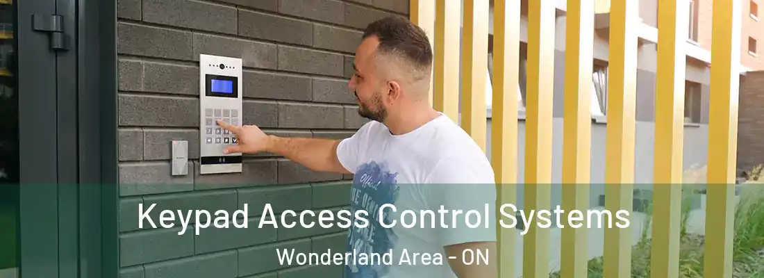  Keypad Access Control Systems Wonderland Area - ON