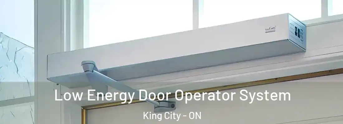  Low Energy Door Operator System King City - ON