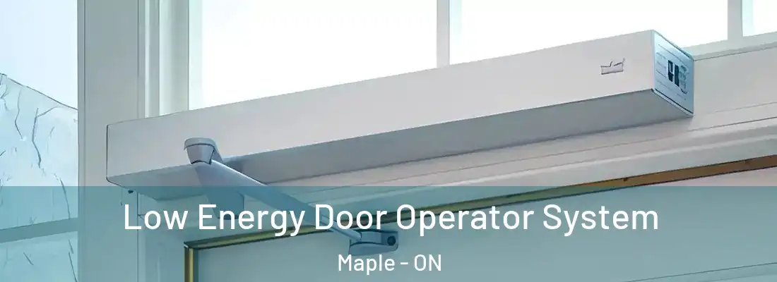  Low Energy Door Operator System Maple - ON