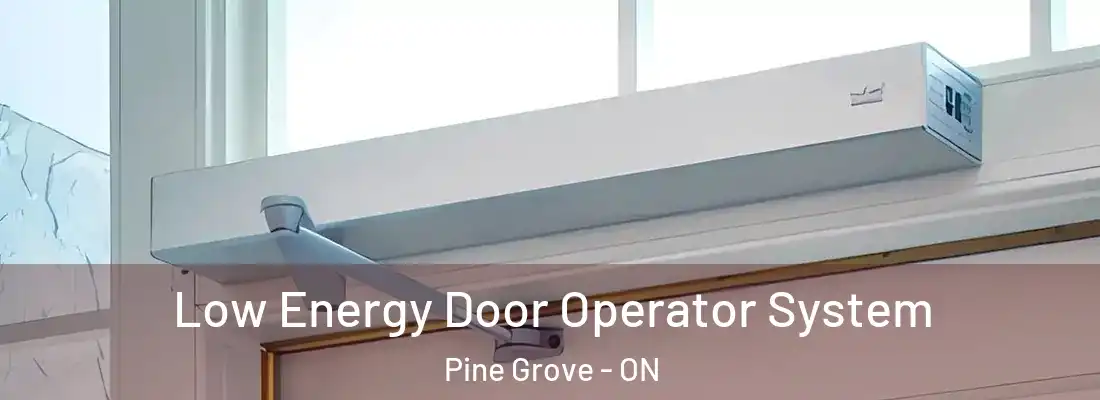  Low Energy Door Operator System Pine Grove - ON