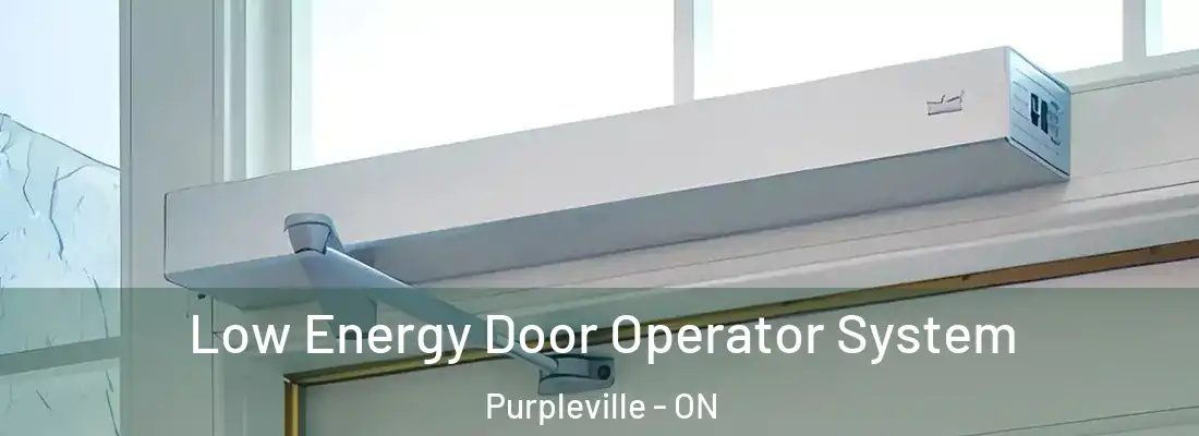  Low Energy Door Operator System Purpleville - ON