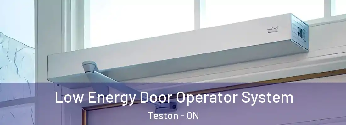  Low Energy Door Operator System Teston - ON
