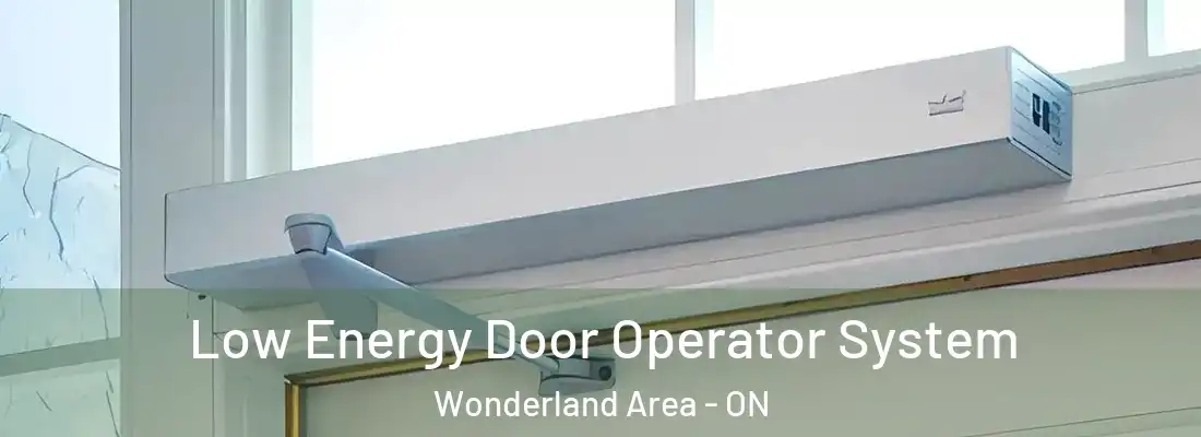  Low Energy Door Operator System Wonderland Area - ON