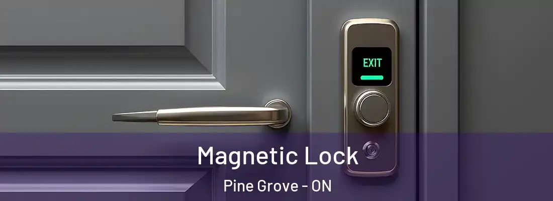 Magnetic Lock Pine Grove - ON
