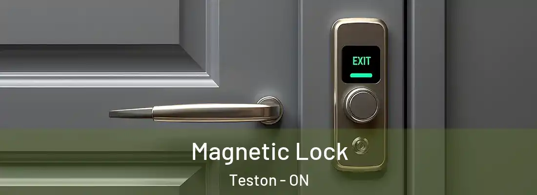  Magnetic Lock Teston - ON
