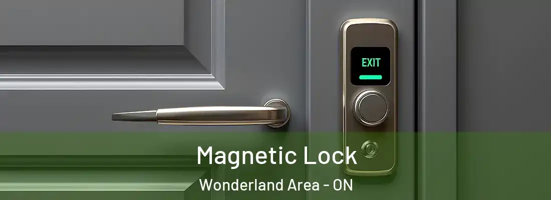  Magnetic Lock Wonderland Area - ON