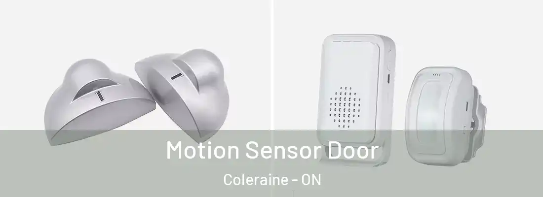  Motion Sensor Door Coleraine - ON