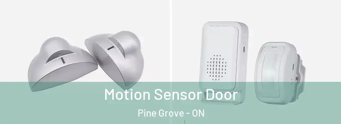  Motion Sensor Door Pine Grove - ON