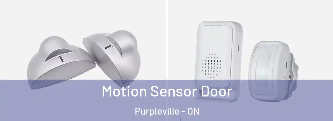  Motion Sensor Door Purpleville - ON