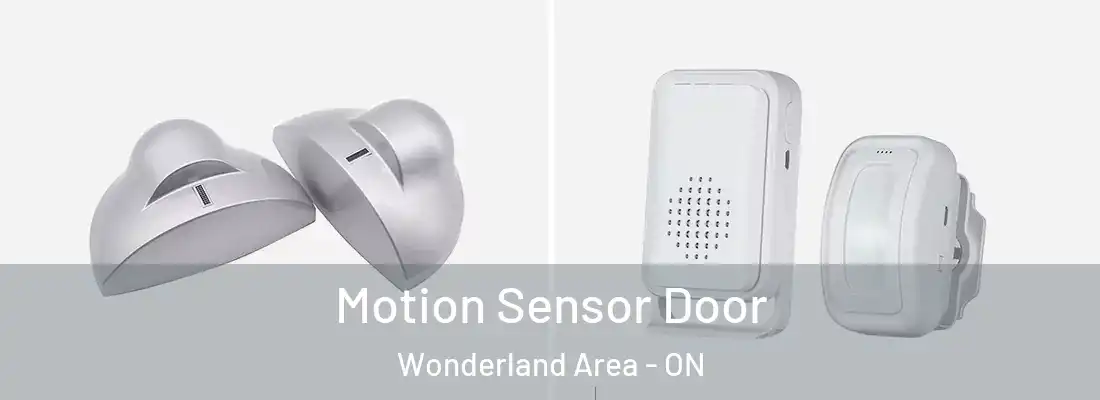  Motion Sensor Door Wonderland Area - ON