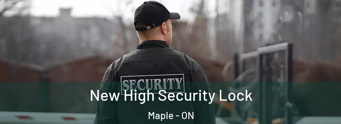 New High Security Lock Maple - ON