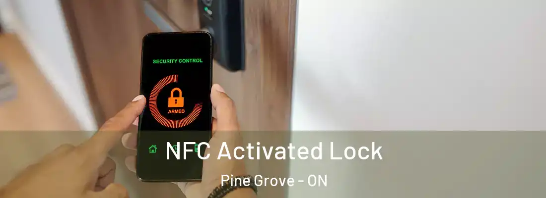  NFC Activated Lock Pine Grove - ON