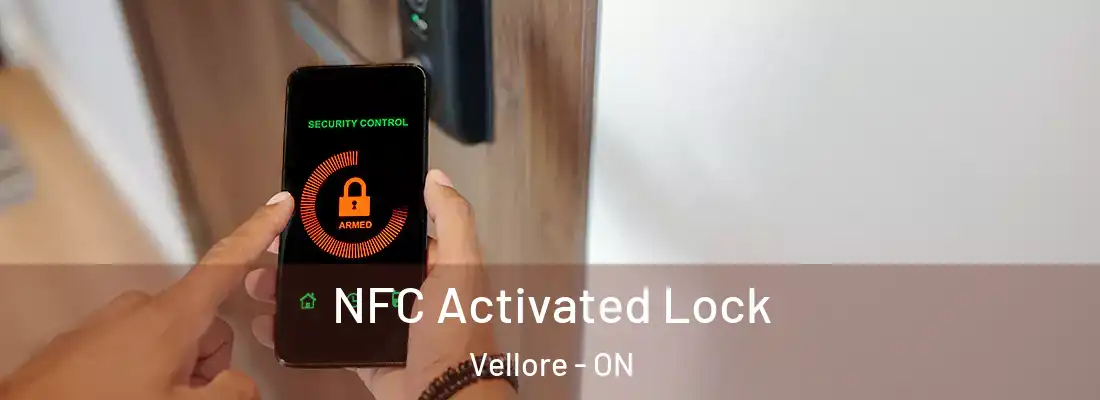  NFC Activated Lock Vellore - ON