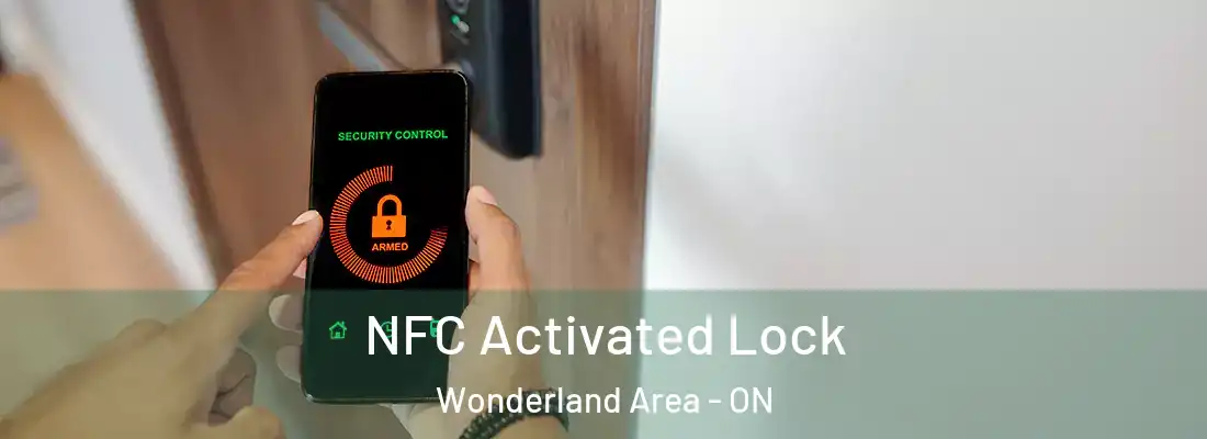  NFC Activated Lock Wonderland Area - ON