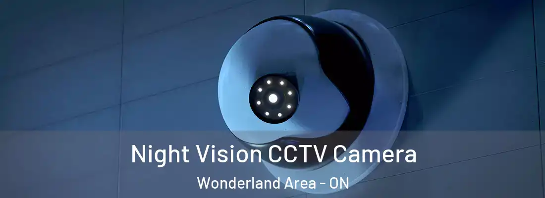  Night Vision CCTV Camera Wonderland Area - ON