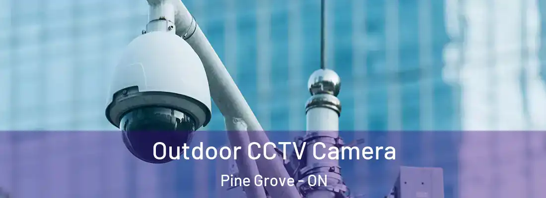  Outdoor CCTV Camera Pine Grove - ON