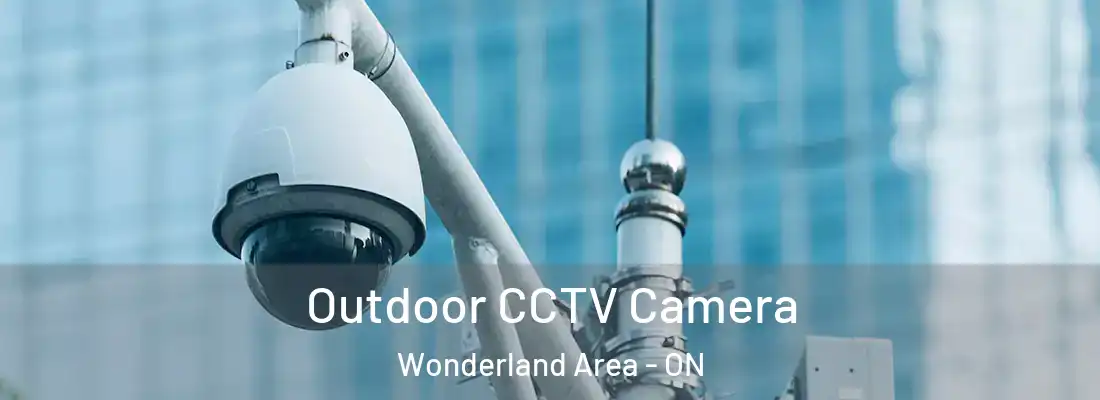  Outdoor CCTV Camera Wonderland Area - ON