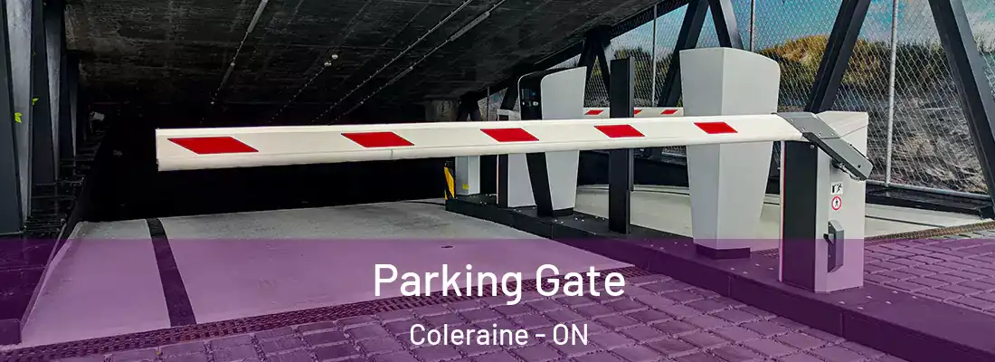  Parking Gate Coleraine - ON