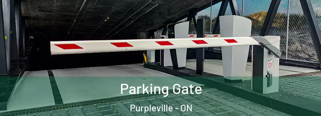  Parking Gate Purpleville - ON
