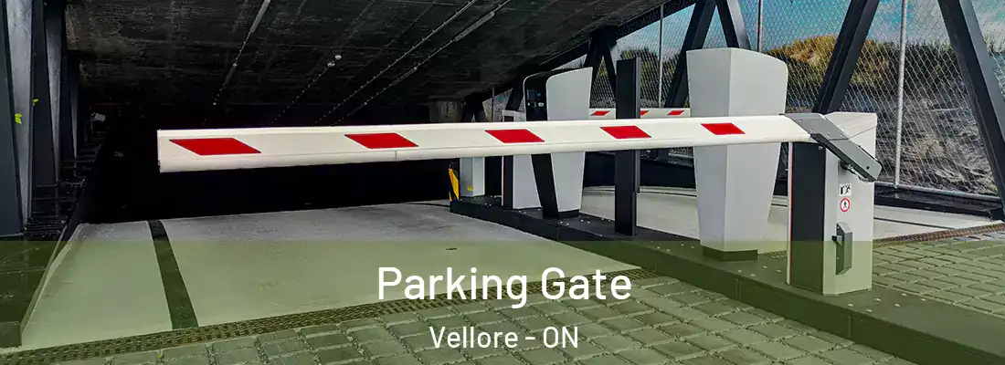  Parking Gate Vellore - ON