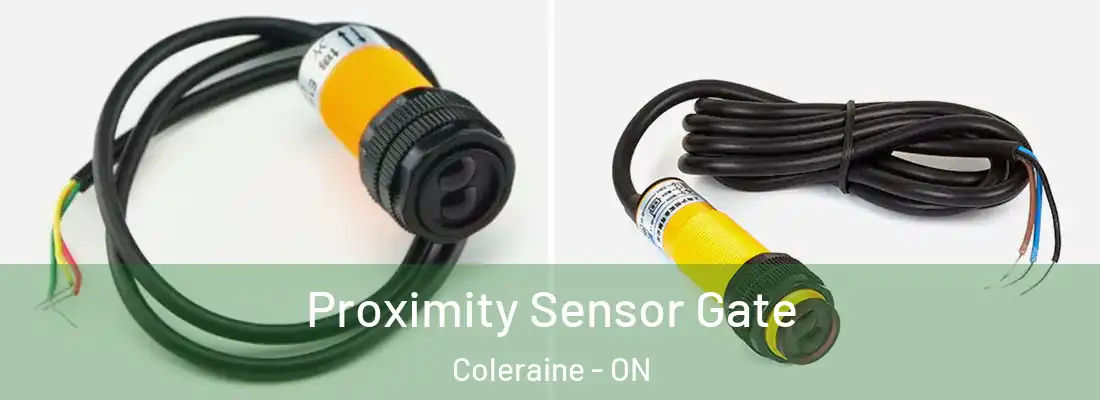  Proximity Sensor Gate Coleraine - ON
