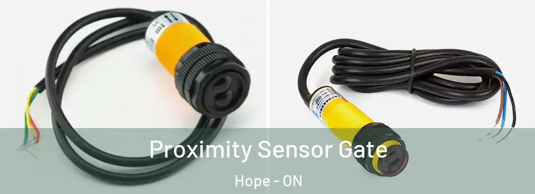  Proximity Sensor Gate Hope - ON