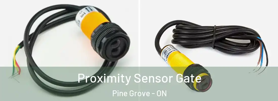  Proximity Sensor Gate Pine Grove - ON