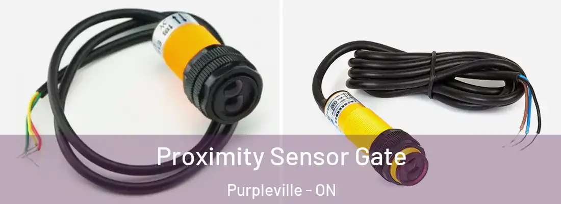  Proximity Sensor Gate Purpleville - ON