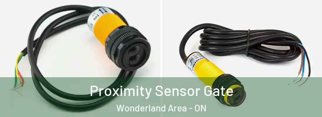  Proximity Sensor Gate Wonderland Area - ON