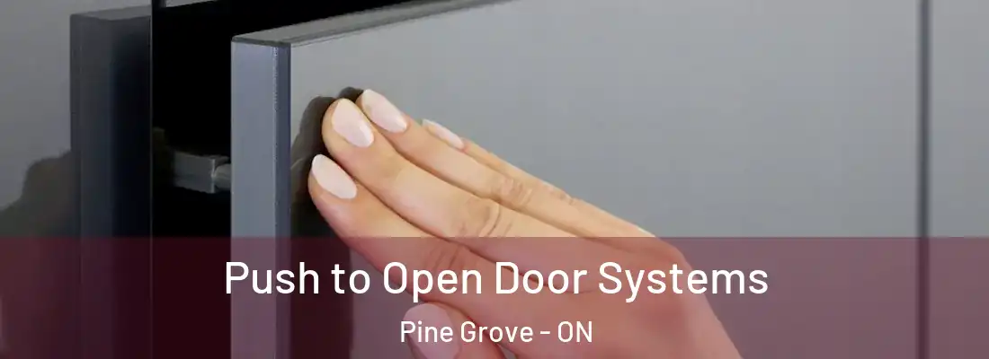  Push to Open Door Systems Pine Grove - ON