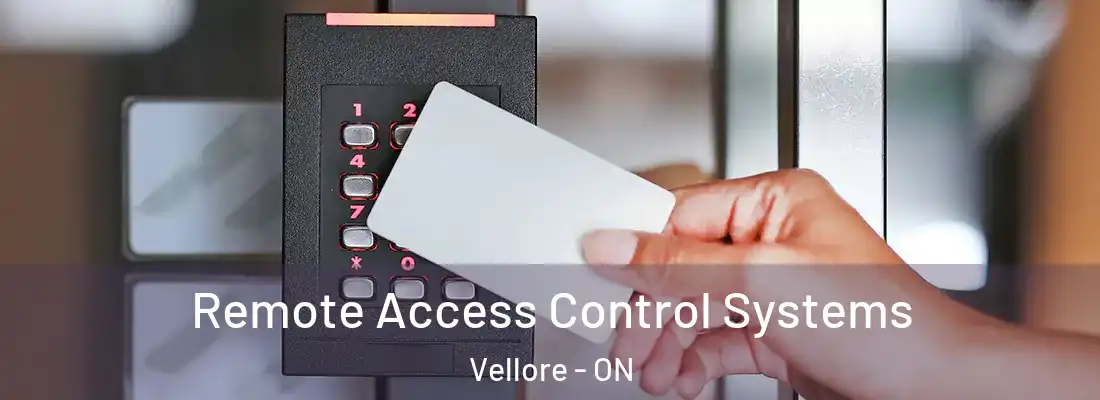  Remote Access Control Systems Vellore - ON