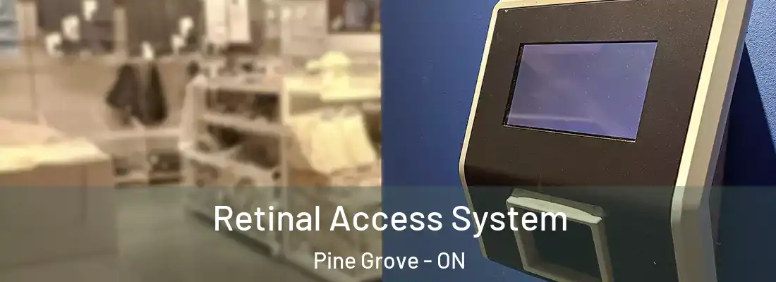  Retinal Access System Pine Grove - ON