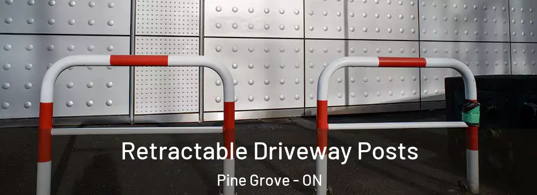  Retractable Driveway Posts Pine Grove - ON