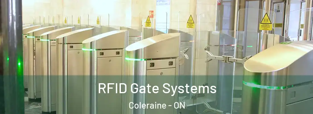  RFID Gate Systems Coleraine - ON