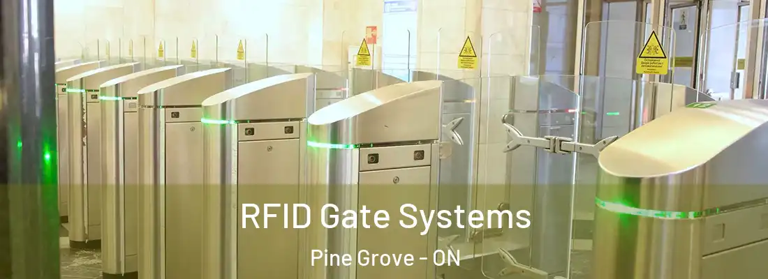  RFID Gate Systems Pine Grove - ON