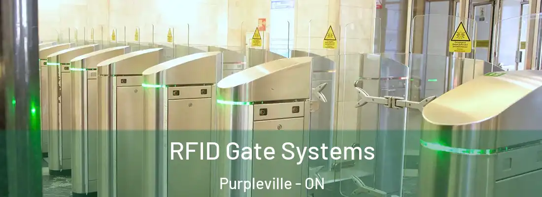  RFID Gate Systems Purpleville - ON