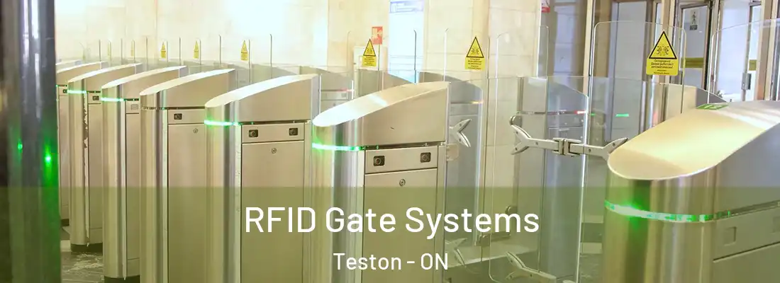  RFID Gate Systems Teston - ON