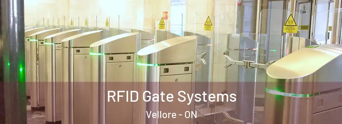  RFID Gate Systems Vellore - ON