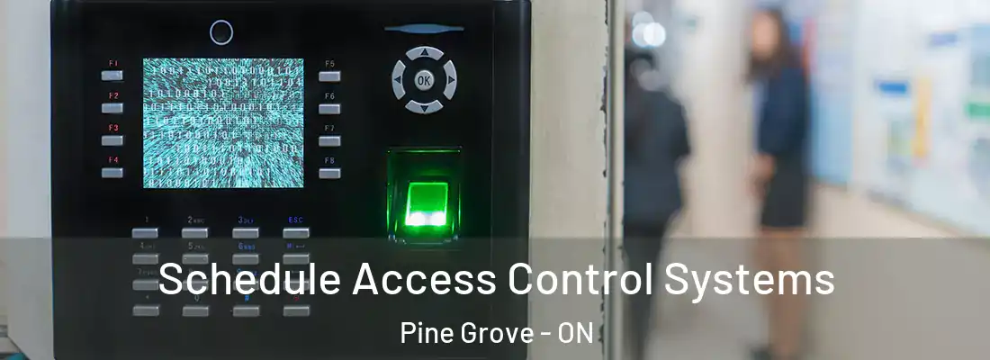  Schedule Access Control Systems Pine Grove - ON