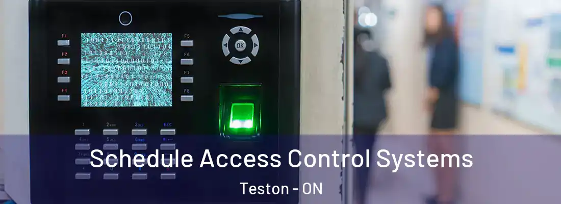  Schedule Access Control Systems Teston - ON