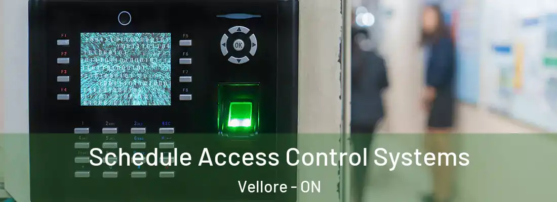  Schedule Access Control Systems Vellore - ON