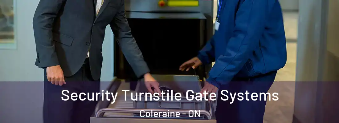  Security Turnstile Gate Systems Coleraine - ON